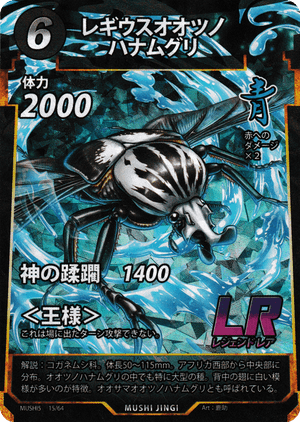 レギウスオオツノハナムグリ（レギウスオオツノハナムグリ） - 蟲神器