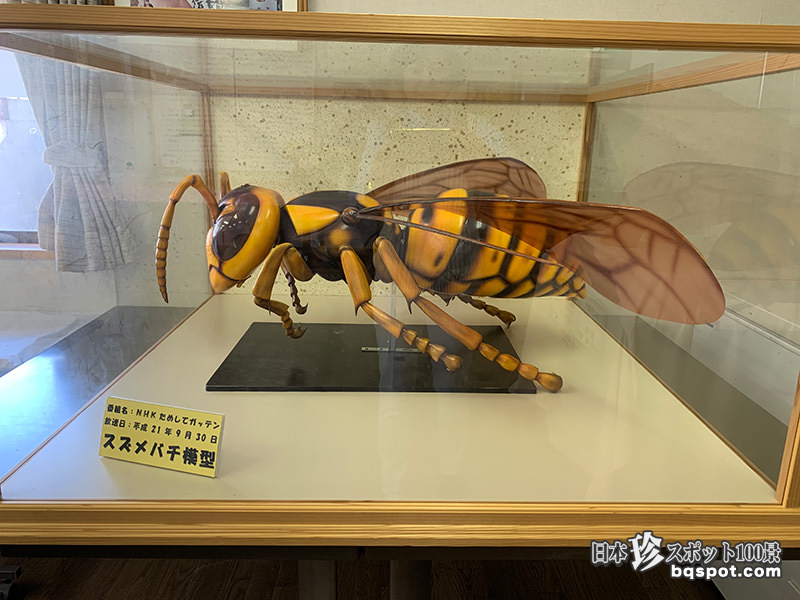 超有名珍スポット博物館と世界一の巨大蜂の巣アート「蜂天国」【長野