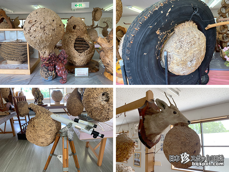 超有名珍スポット博物館と世界一の巨大蜂の巣アート「蜂天国」【長野