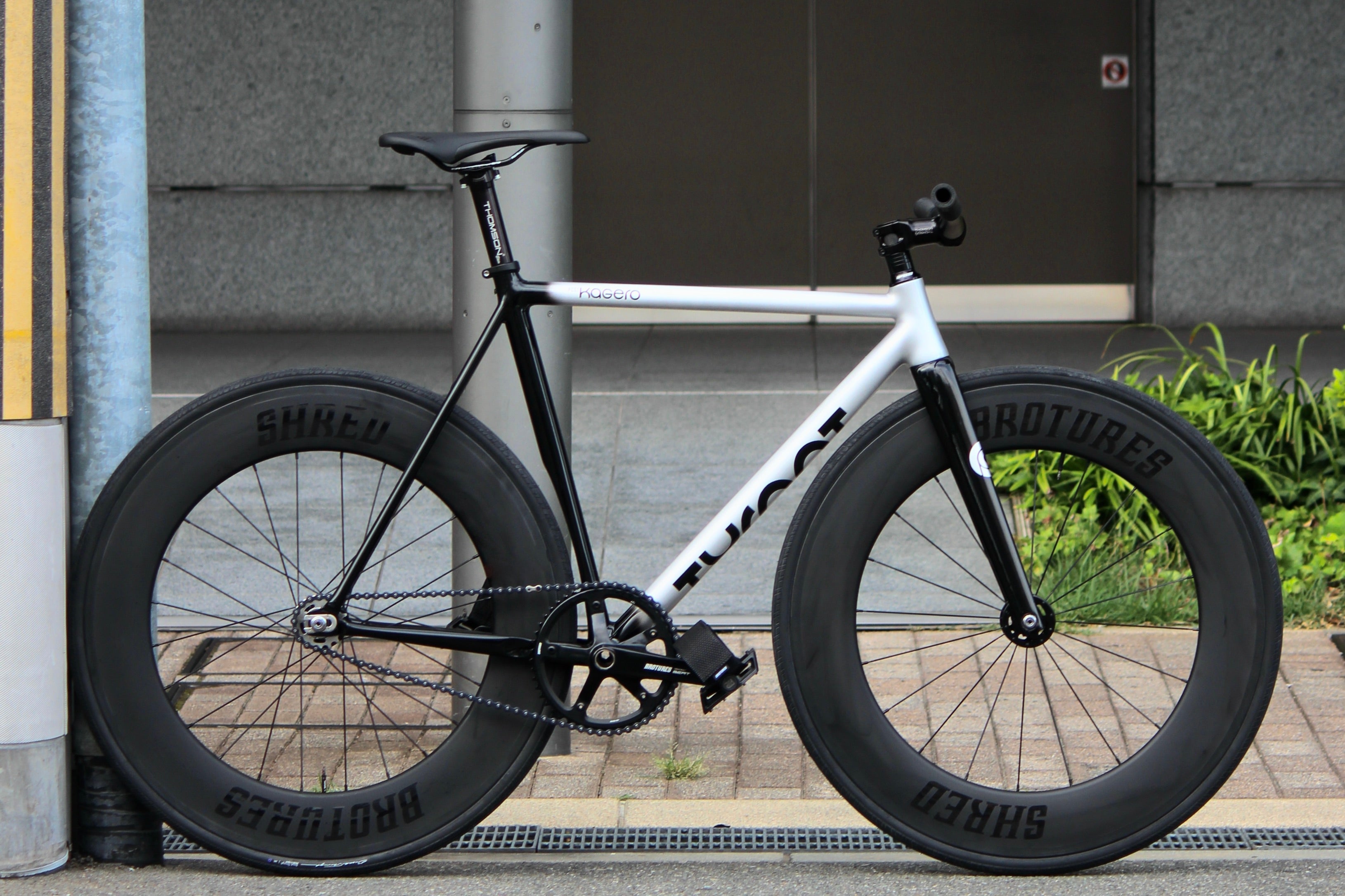 IMG_8087_4.jpg?v=1759311599&