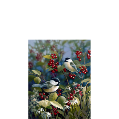 Bradley Jackson | Wildlife Artist