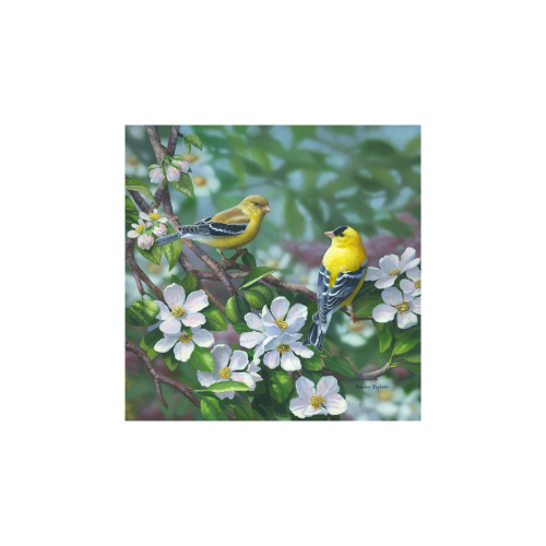 Bradley Jackson | Wildlife Artist