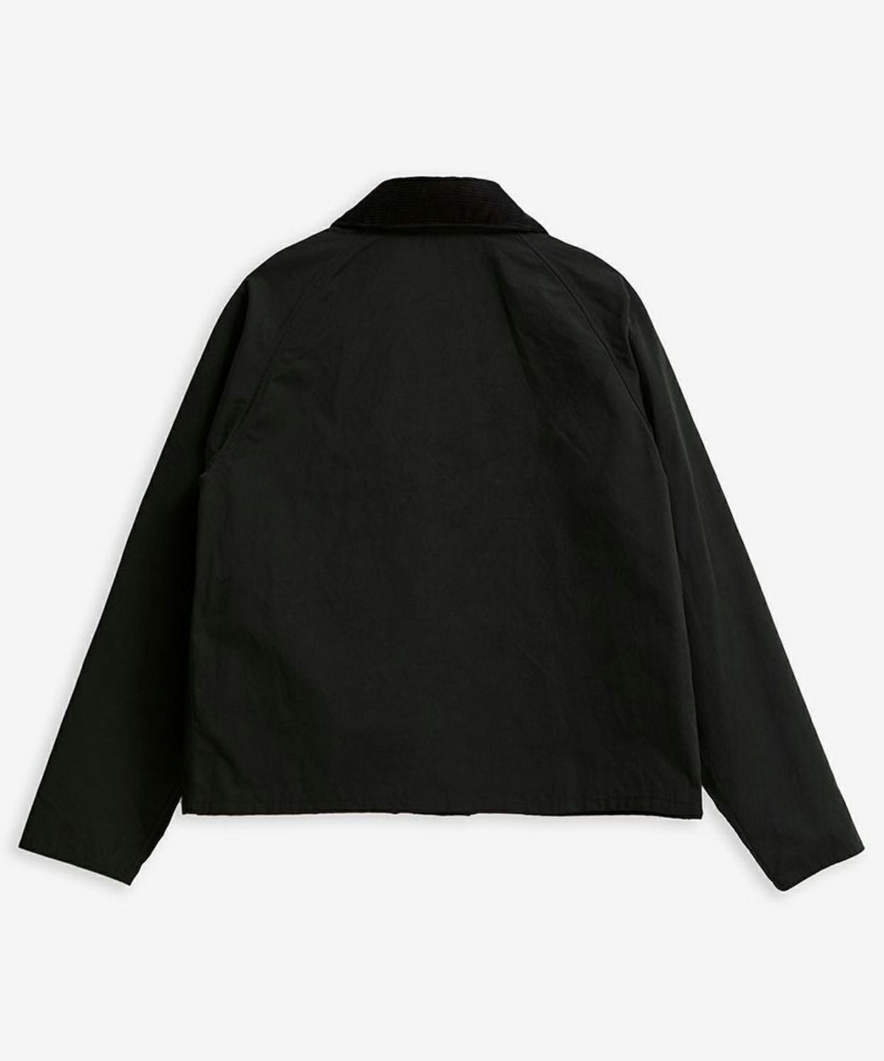 000000006342-10.jpg?size=l&w=