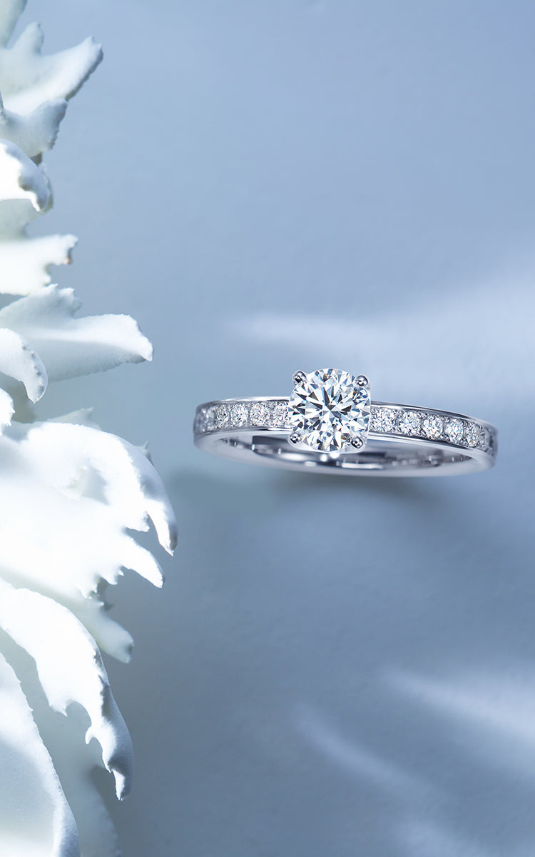 ヴァンドーム⻘⼭ブライダル