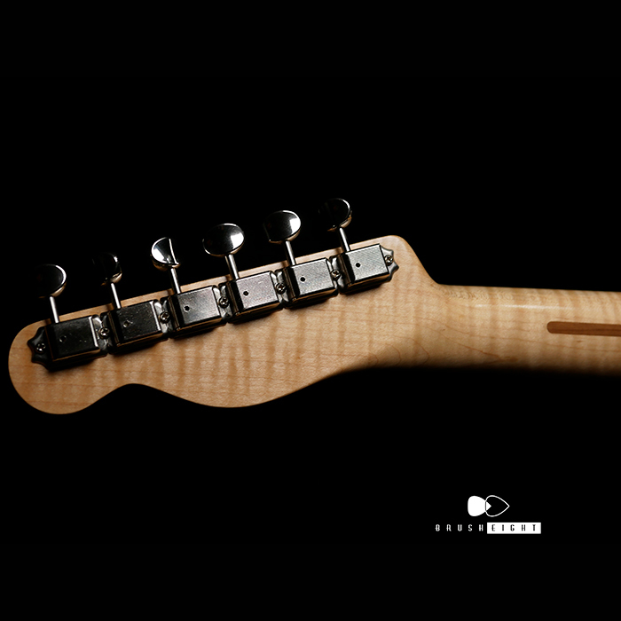 Brush eight / 【SOLD】Vanzandt TLV-R1 LTD SPECIAL “See Through