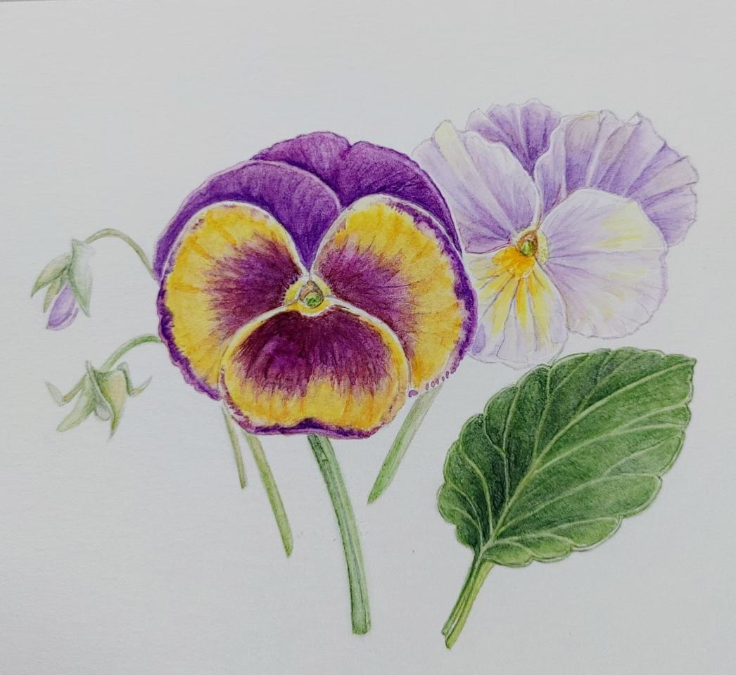 大阪・奈良・四日市の総合カルチャーセンター 近鉄文化サロン美術