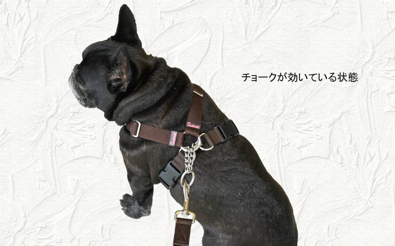 チョークハーネス Mサイズ of フレンチブルドッグ服 ハーネス 首輪