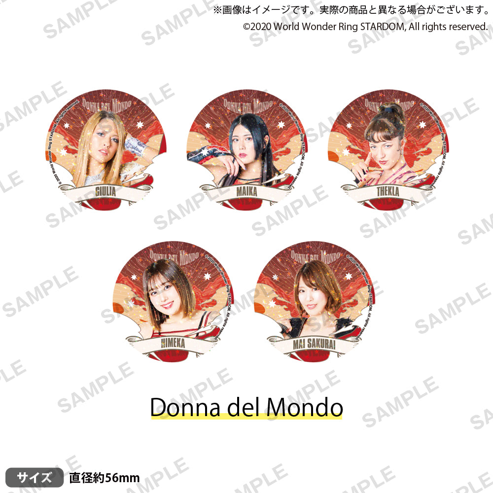 スターダム トレーディングホログラム缶バッジ 2022 【PACK】