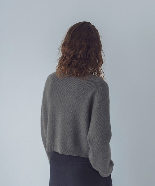 DRESSLAVE（ドレスレイブ）の「nylon angora short pullover(ナイロン