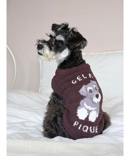 Peek a Boo Santa ピーカーブーシュナウザー Peek a Boo Santa