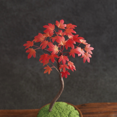 粘土盆栽】ミニ盆栽 イロハモミジ編 もみじ モミジ 紅葉 豆盆栽 足つき