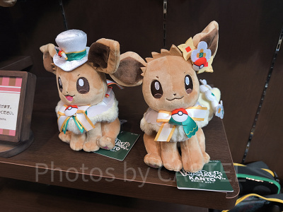 ポケパークカントーのお土産グッズおすすめ17選！ピンズ入りモンスター