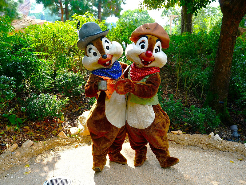 2026】香港ディズニーグリーティング完全攻略！場所、時間、会える