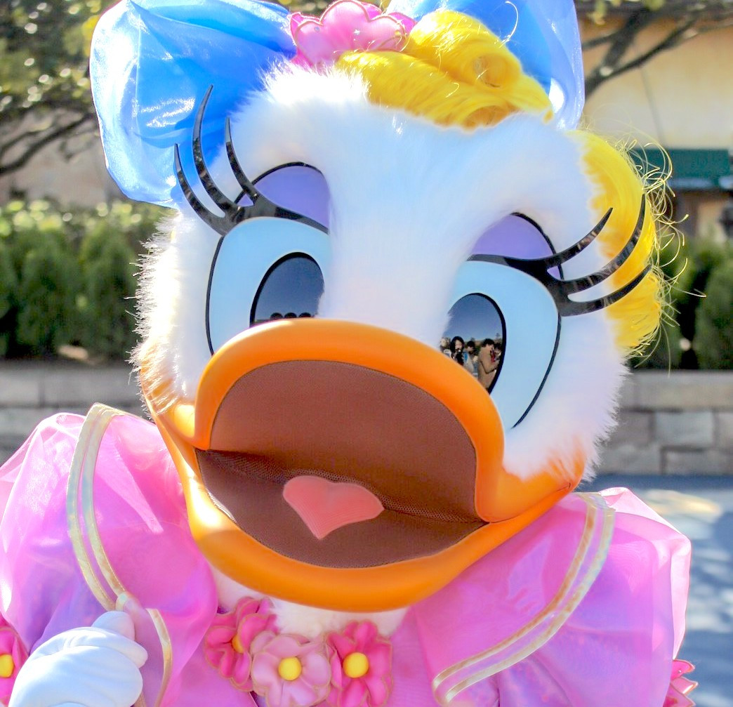 デイジーのプロフィール！誕生日や性格は？ドナルドとの関係や