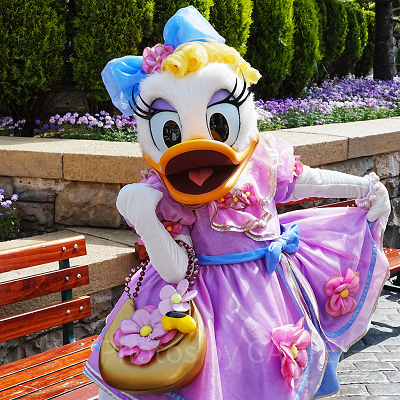 デイジーダック| キャステル | CASTEL ディズニー情報