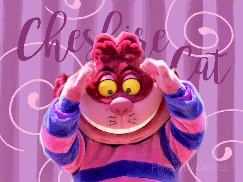 cheshire-cat-toy-j45717.webp?