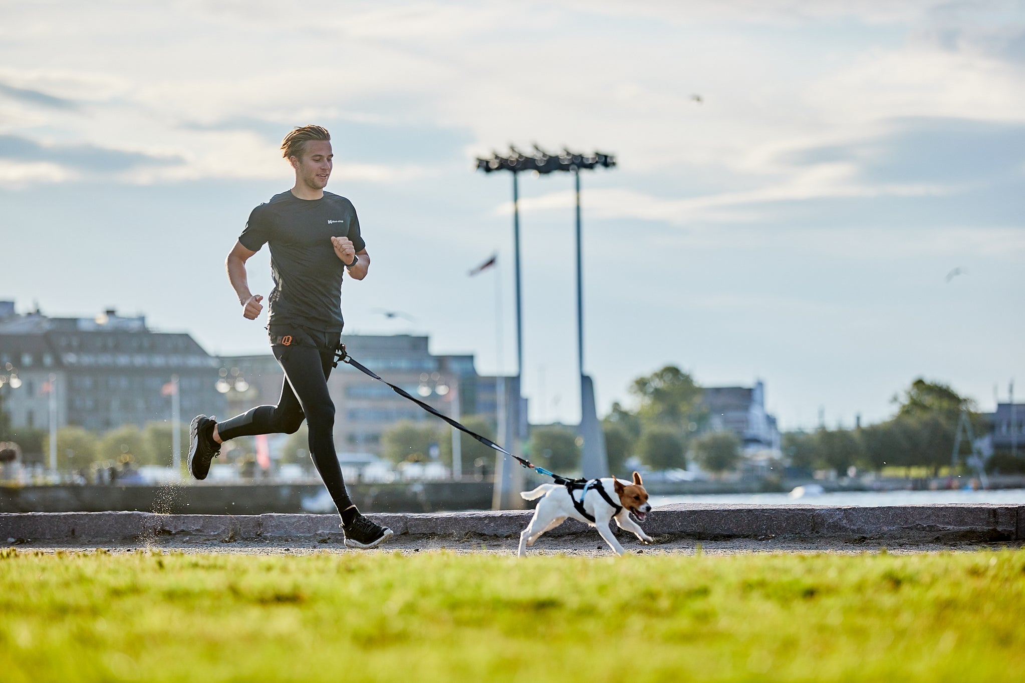 Touring bungee バイクジョアリングカニクロス一部伸縮リード – イヌと