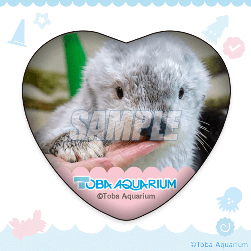 カプくじ×鳥羽水族館 ラッコのメイちゃんくじ | カプくじオンライン