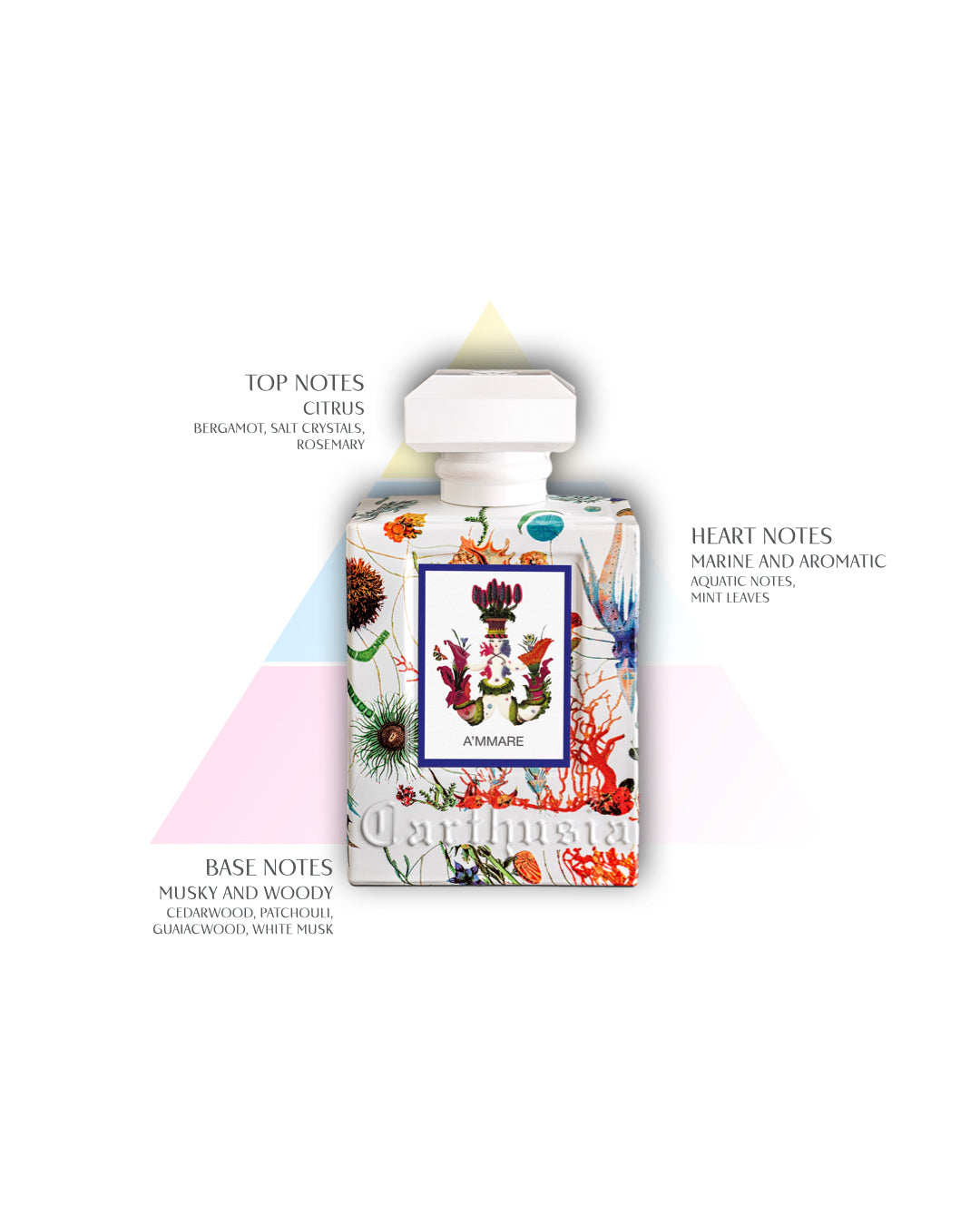 CARTHUSIA〈カルトゥージア〉 アマーレ オードパルファム 100ml