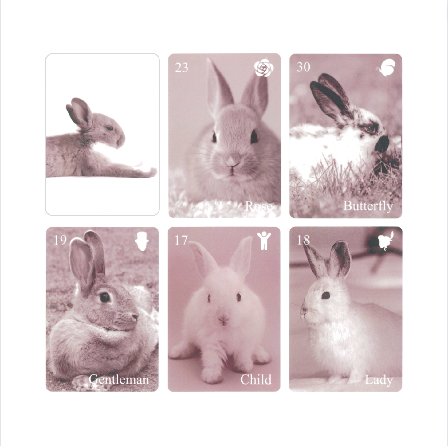 うさぎコーヒーカード（2024年2月発売） | 日本のオラクルカード