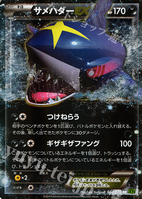 傷】 RR サメハダーEX 販売 | [XY5] タイダルストーム | ポケモン