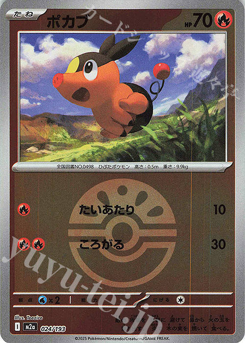 ポカブ(ボール柄/ミラー仕様) 販売 | [M2a] ハイクラスパック MEGA