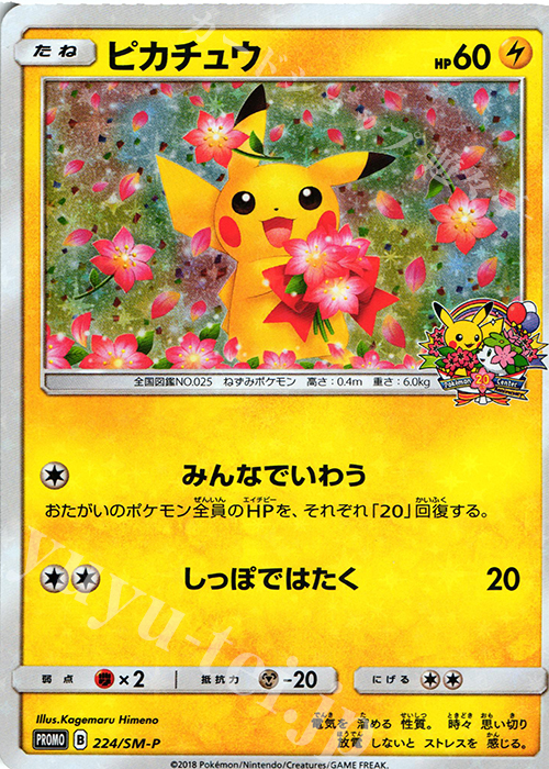 PROMO ピカチュウ 買取 | SM プロモーションカード【201〜300