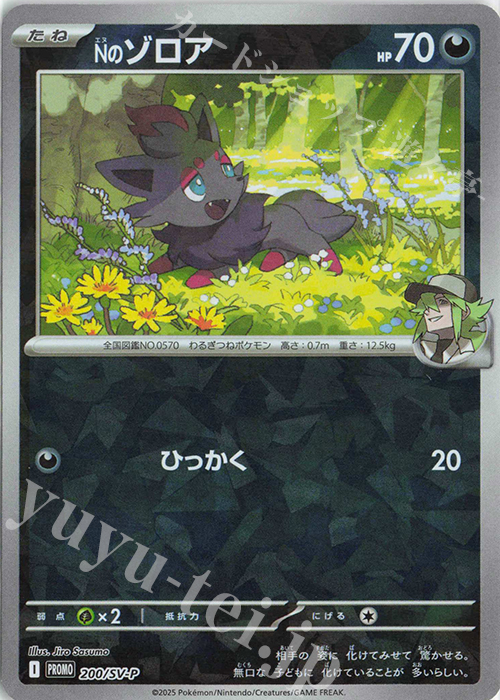 PROMO Nのゾロア 販売 | SV プロモーションカード【101〜200