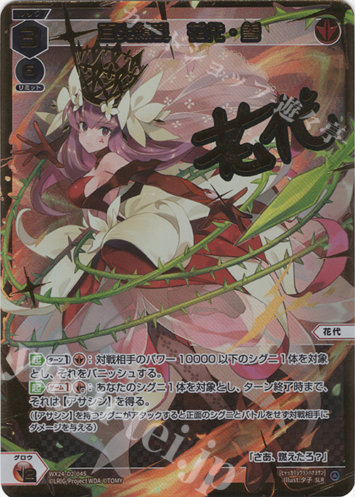 SLR 百火繚乱 花代・参(サイン入り) 販売 | [WX24-P1] RECOLLECT