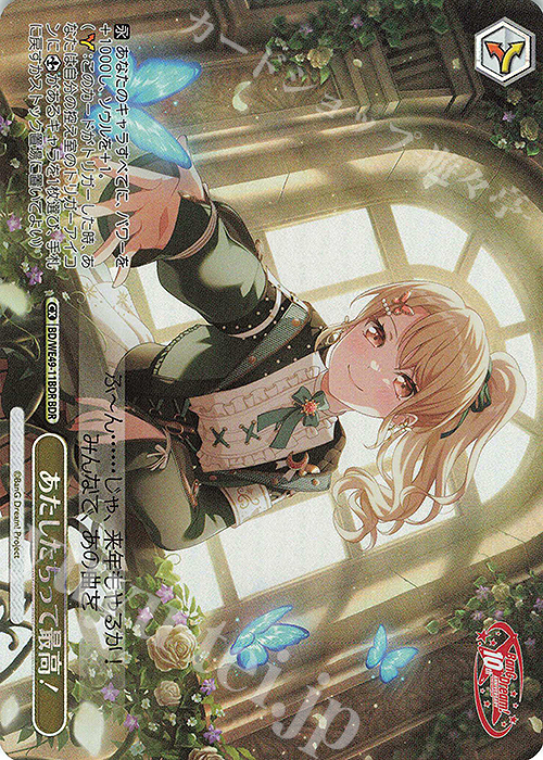 傷】 BDR あたしたちって最高！(箔押し入り) 販売 | プレミアム