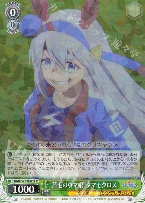 R “芦毛のウマ娘”タマモクロス 買取 | アニメ『ウマ娘 シンデレラ