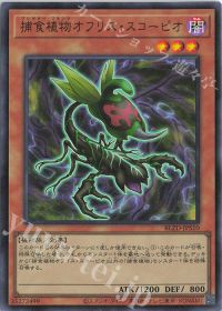 シンクロもするよ!捕食植物デッキ紹介 | トレカの買取・通販ならカード