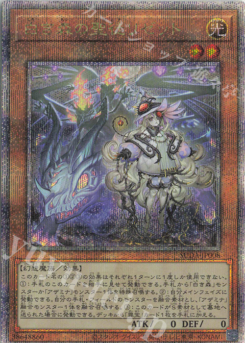 QCSE 白き森の聖徒リゼット 買取 | [SUDA] SUPREME DARKNESS | 遊戯王