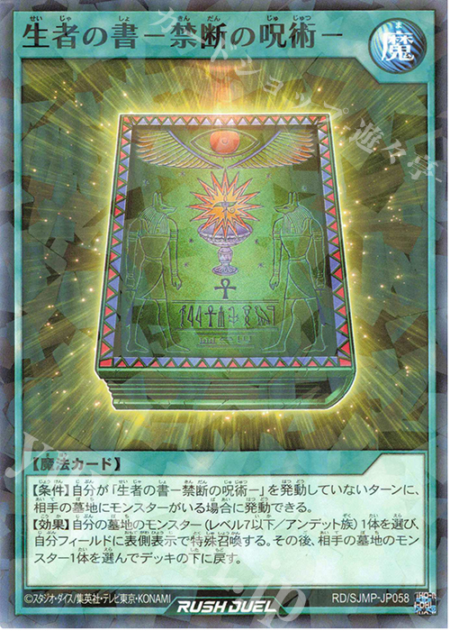 P-N 生者の書-禁断の呪術- 販売 | 書籍付属カード | 遊戯王ラッシュ