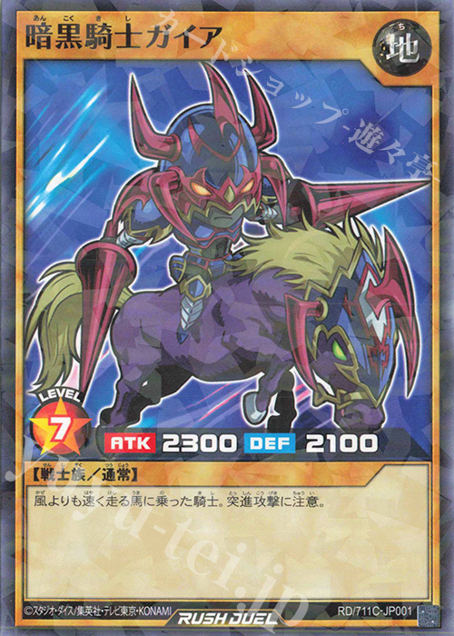 P-N 暗黒騎士ガイア 販売 | その他プロモーションカード | 遊戯王