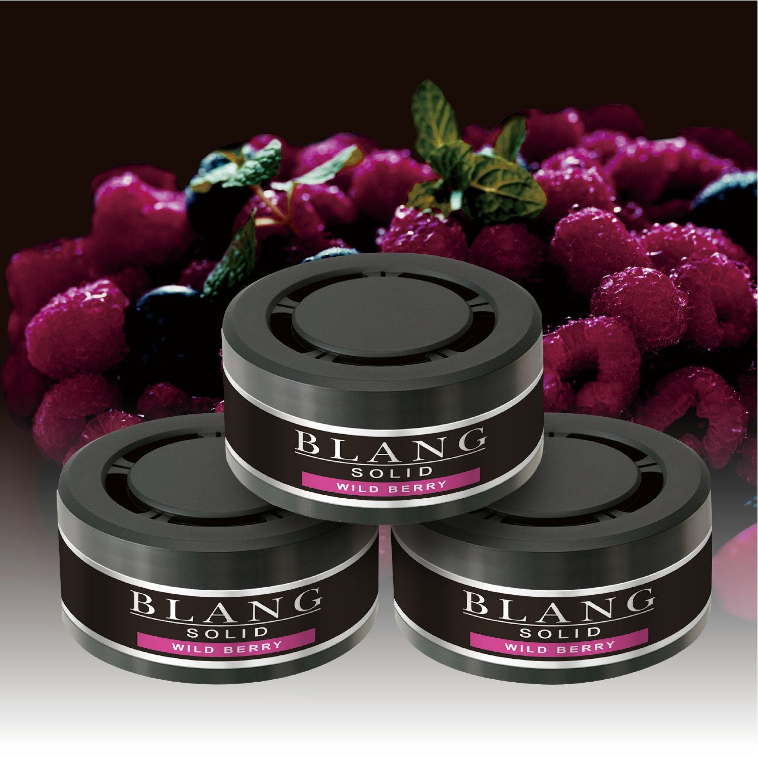 G25T ブラング ソリッド詰め替え 3P ワイルドベリー | カーメイト 公式