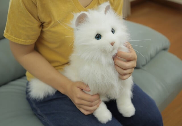 本物そっくりの可愛い猫ロボット「夢ねこプレミアム」が発売 | Cat Press
