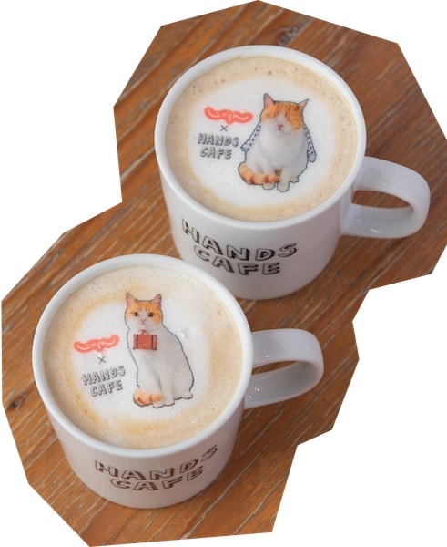 じゃらん×ハンズカフェが登場！にゃらんをモチーフにした猫メニューも