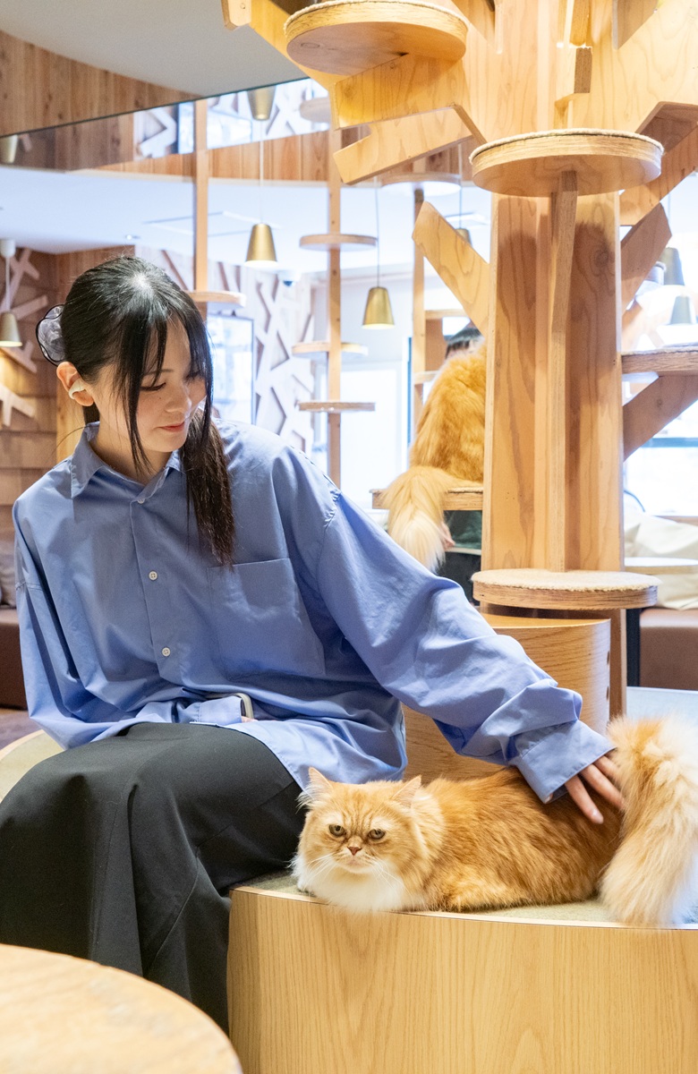 Ikebukuro Main Store｜猫カフェ MOCHA(モカ)