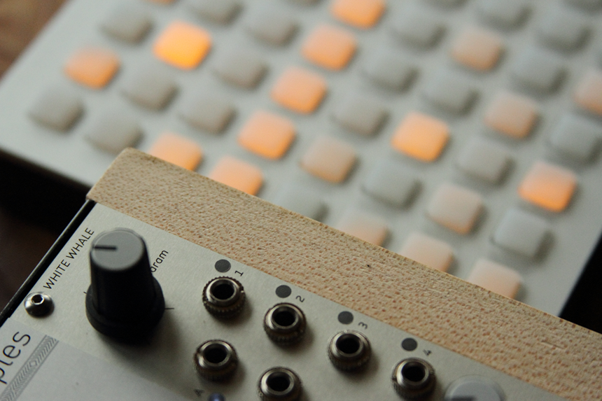 white whale Makes your monome Into an Amazing Modular Step