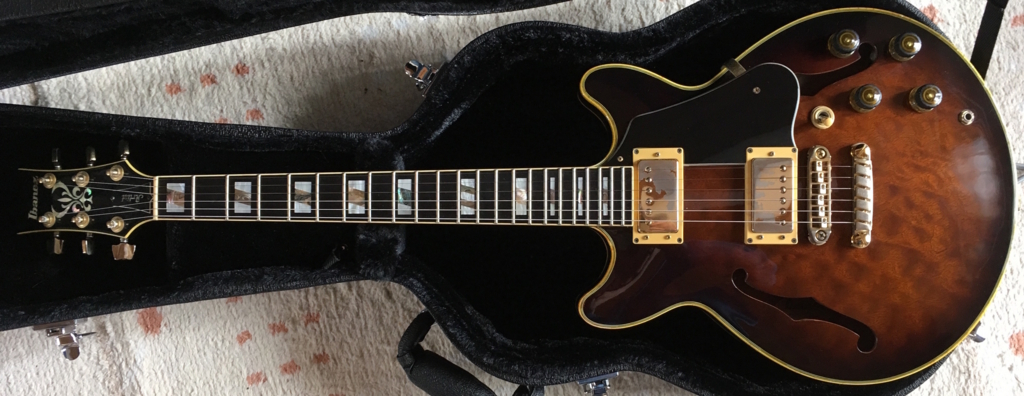 IbanezのAM-205を紹介 - らび、君を忘れない