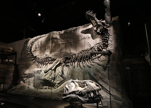 発掘の聖地と博物館で恐竜まみれだった高校時代：日経ビジネス電子版