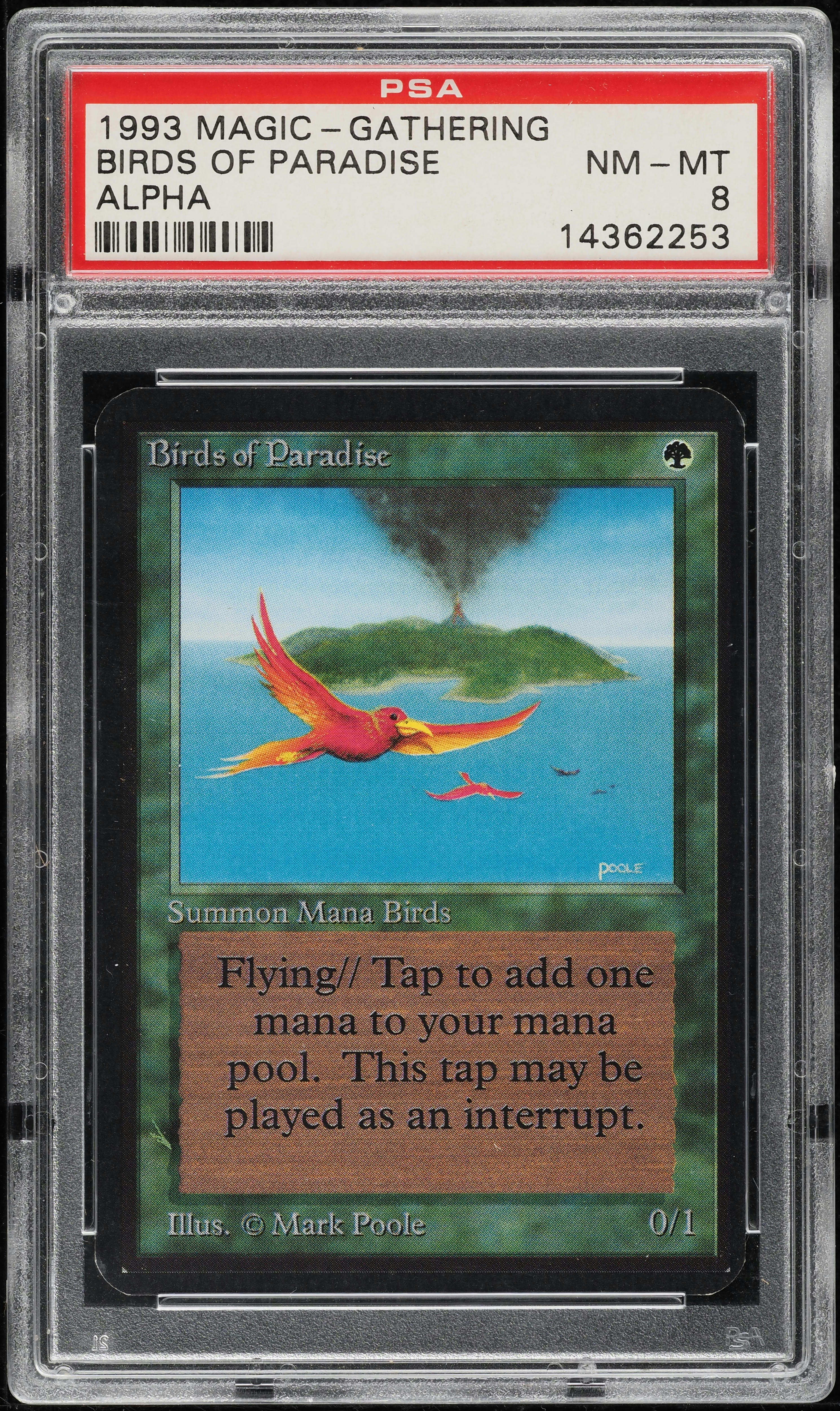 1993 Magic The Gathering MTG Alpha Birds Of Paradise PSA 8 NM-MT