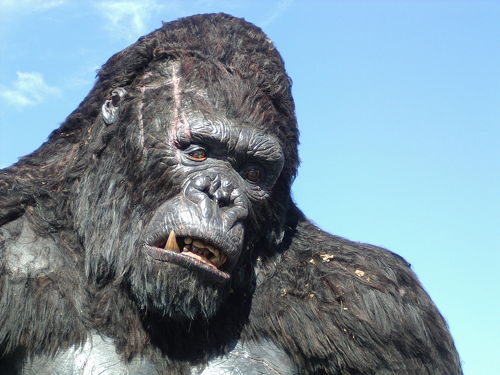 2005年 ユニバーサル・スタジオ・ハリウッドにキング・コングを見に