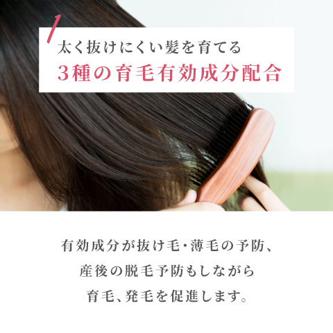 アンファースカルプD公式通販 | 予防医学のアンファーストア