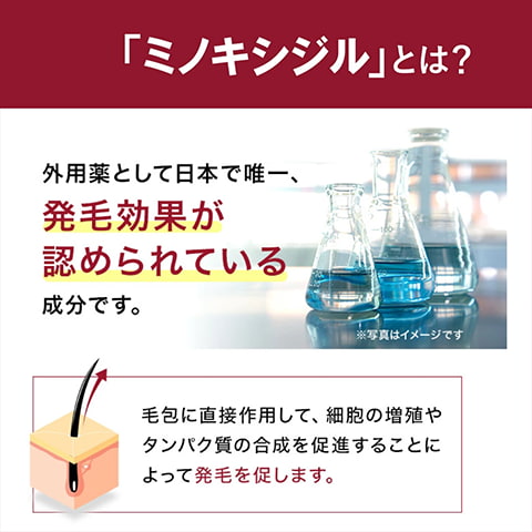 アンファースカルプD公式通販 | 予防医学のアンファーストア
