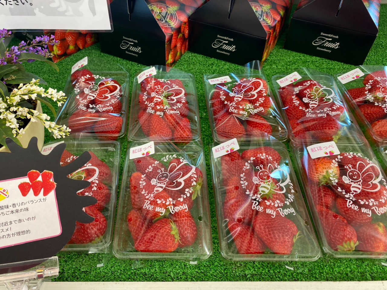 ☆2024年度じゃらん関東エリア優勝☆平日プラン12／13～4／5【アクア