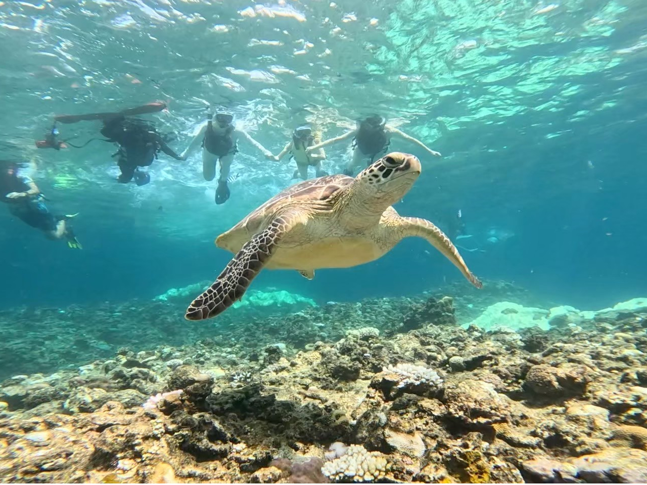 ☆期間限定学割☆竹富島往復チケット付き【石垣島/半日】絶景！川平湾