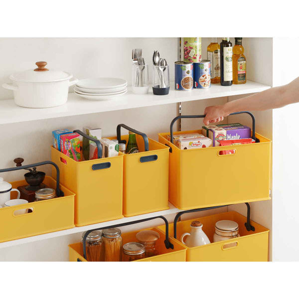 SANKA 収納ボックス 持ち手付き 収納ケース squ+ インボックス L