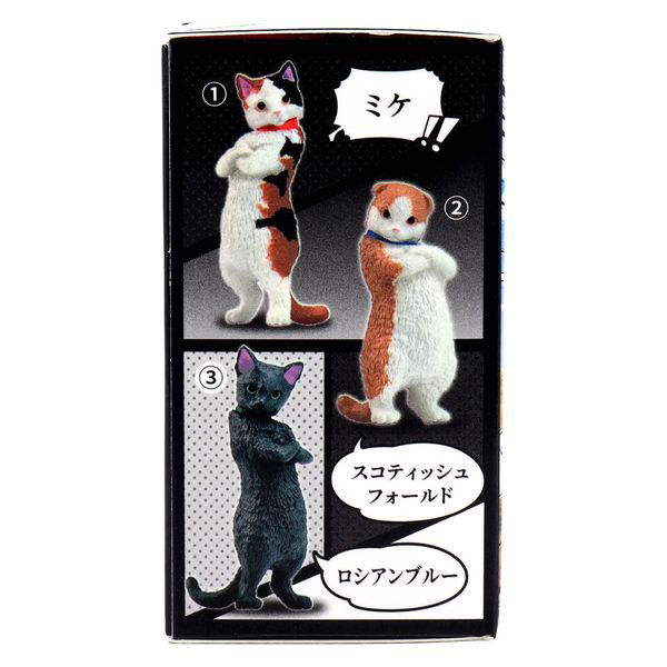 エール フィギュア ズン!! BOX 4573553070951 1個（直送品） - アスクル